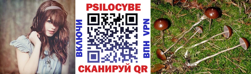 Купить закладки  Светлый  Псилоцибиновые грибы Cubensis 